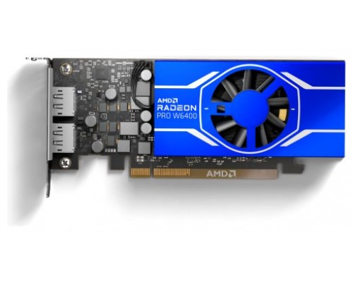 AMD-GF RAD PRO W6400 4GB
