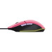 RATON TRUST GXT 109 FELOX PK