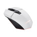 RATON TRUST GXT 110 FELOX WH RATON TRUST GXT 110 FELOX WH