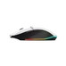 RATON TRUST GXT 110 FELOX WH RATON TRUST GXT 110 FELOX WH
