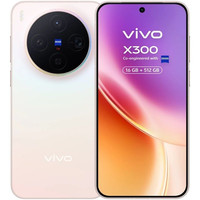 SMARTPHONE VIVO X300 16-512 PK