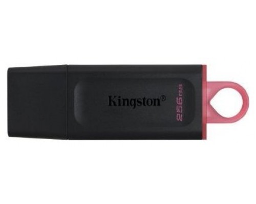 PEN DRIVE 256GB KINGSTON DTX EXODIA USB3.2