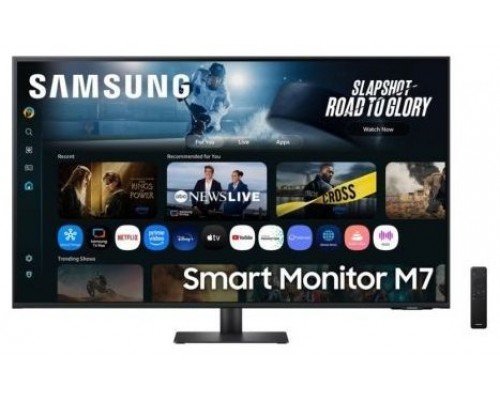 MONITOR SAMSUNG S43FM700UU