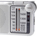 PAN-RADIO RF-P150DEGS