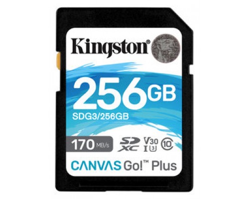 MEMORIA KINGSTON-SD SDG3 256GB