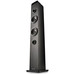 ALTAVOCES NGS SKYCHARM PRO BK